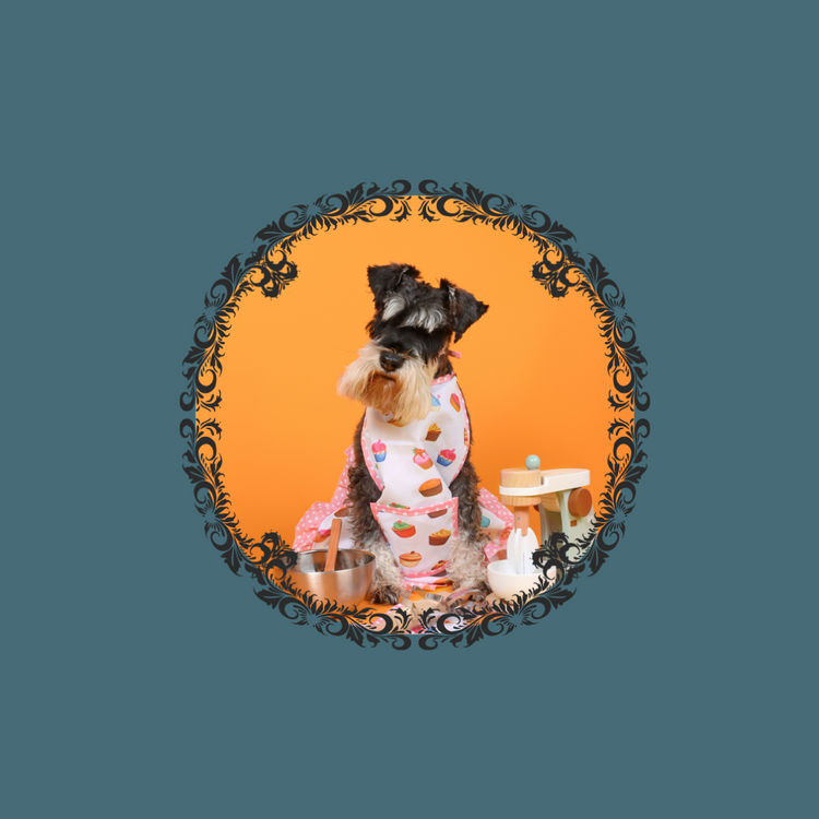 Adorable dog in apron with kitchen tools, showcasing pet-themed kitchen utensils and home goods from Gold Grooming LLC.