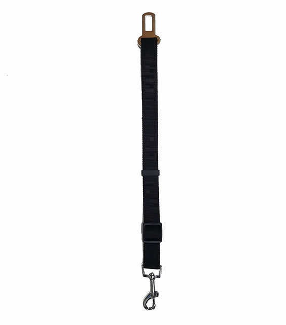 Black Seat Belt Leash